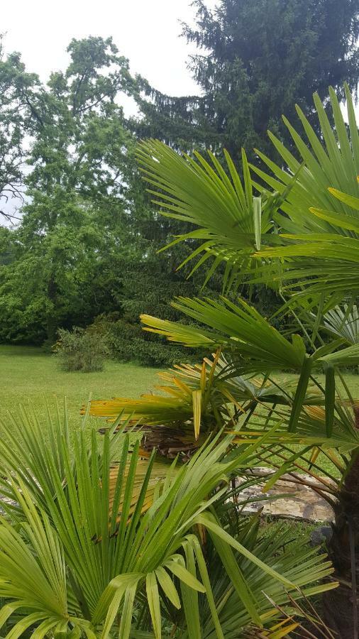 La Belle Chaumiere Bed & Breakfast Bretagne-de-Marsan Ngoại thất bức ảnh